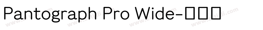 Pantograph Pro Wide字体转换